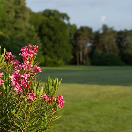 Relais Monaco Country & 4* Ponzano Veneto