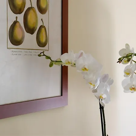 Hotel Relais Monaco Country &